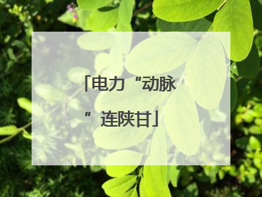 电力“动脉”连陕甘
